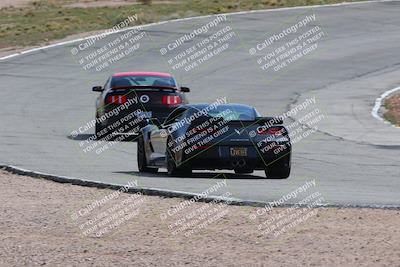 media/Mar-04-2023-West Coast Racing (Sat) [[a3f8e4c156]]/Green/Back Shots/